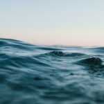 which-of-the-following-indicates-scuba-diving-or-snorkeling-activity_featured