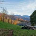 why-are-the-blue-ridge-mountains-blue_featured