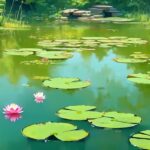 10-fun-facts-about-ponds_1