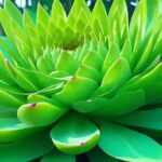 10-benefits-of-plants_1
