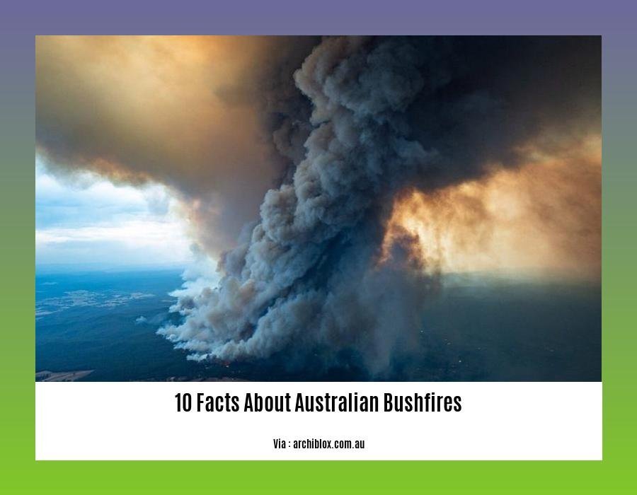 10 facts about Australian bushfires