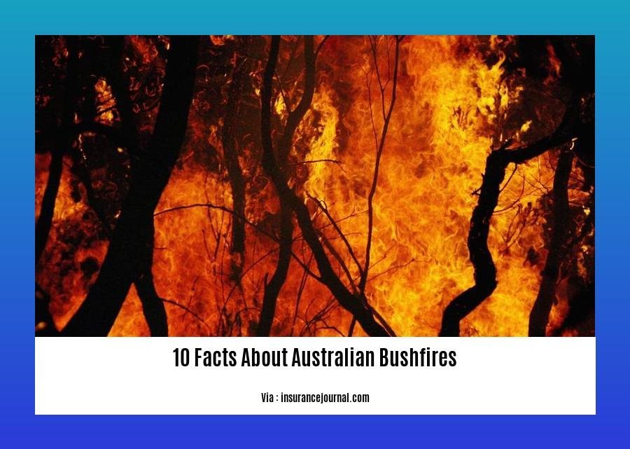 10 facts about Australian bushfires