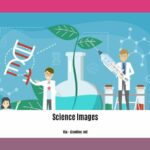10-fun-facts-about-science_2