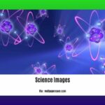 20-amazing-facts-about-science_2