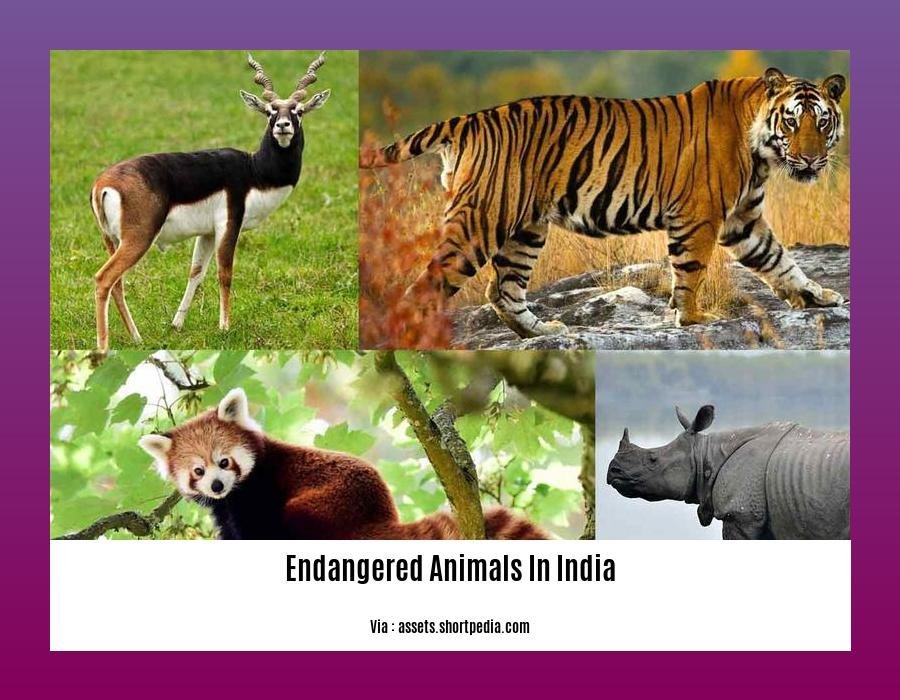 5 endangered animals in India with pictures and information