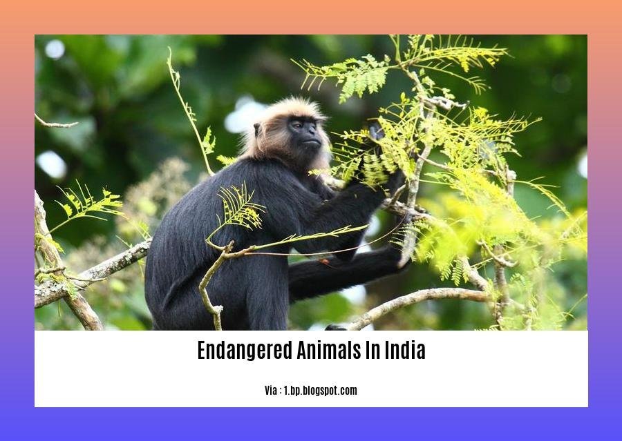 5 endangered animals in India with pictures and information