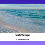 Attractions-in-Ormond-Beach-Florida_2