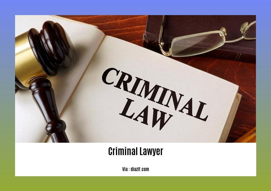 Best criminal lawyer in South Africa