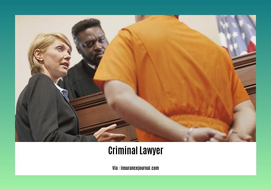 Best criminal lawyer in South Africa