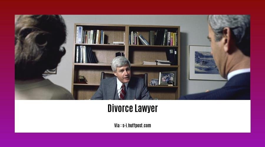 Best female divorce lawyer 2