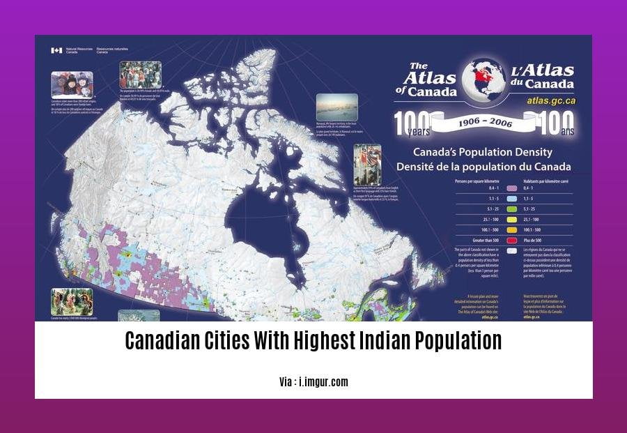 Canadian cities with highest Indian population