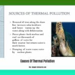 Causes-of-thermal-pollution-in-points_2