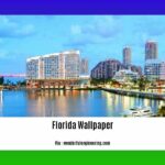 Cheap-fun-things-to-do-in-Naples-Florida_2