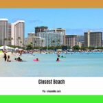 Closest-beach-to-me-dog-friendly_2