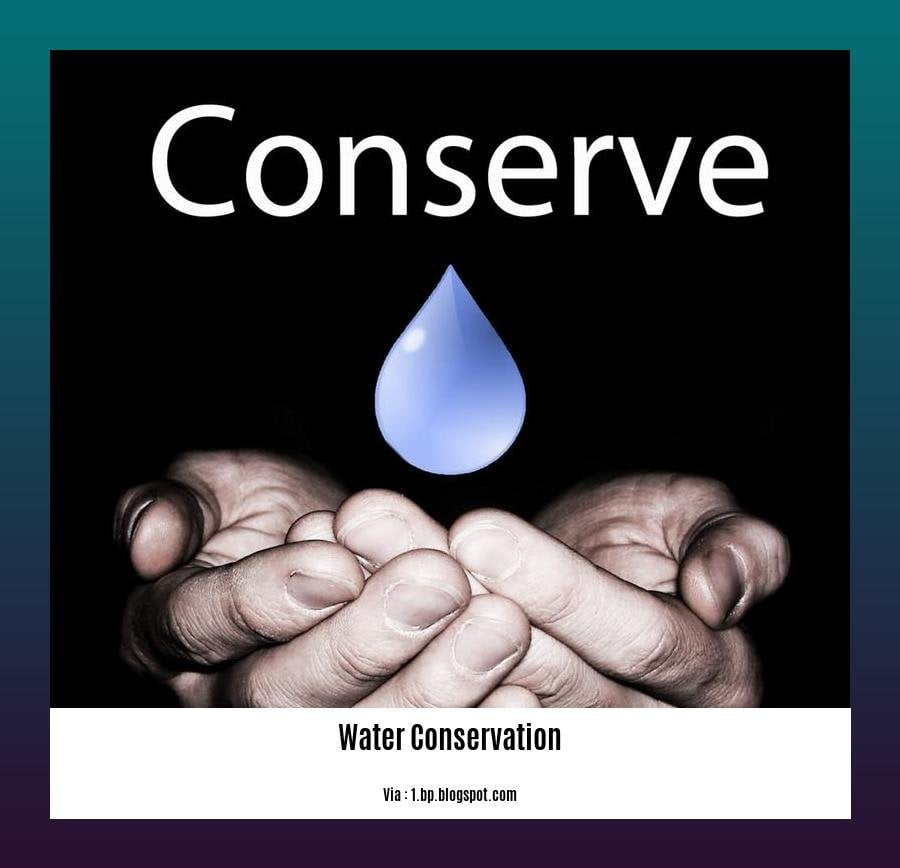 Cons of water conservation