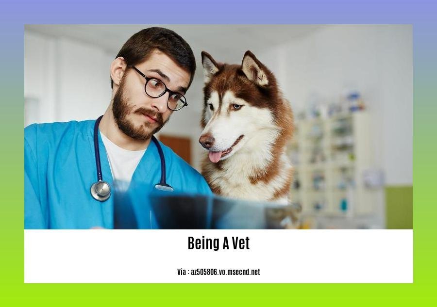 Cool facts about being a vet
