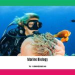 Cool-facts-about-marine-biology_2