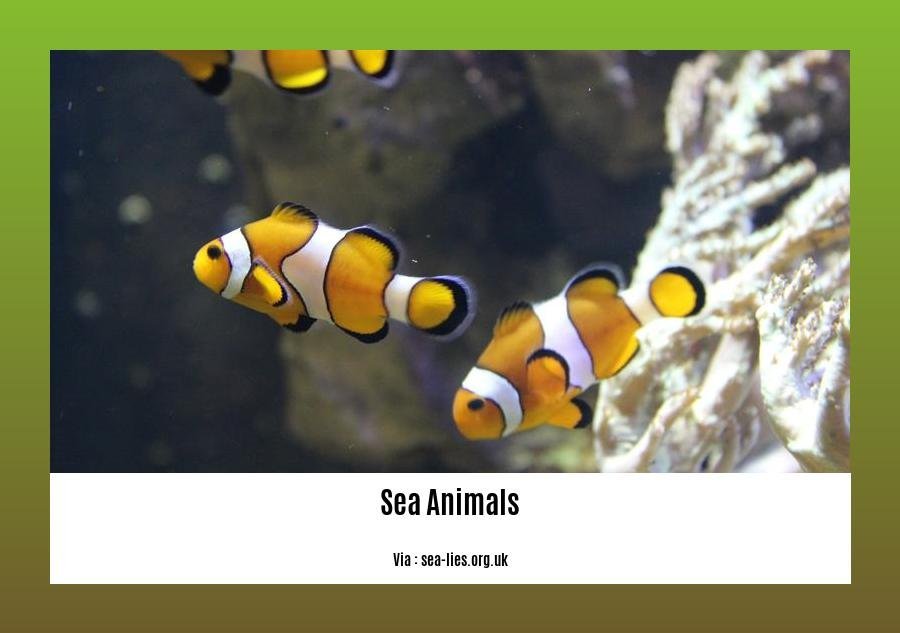 Cool facts about sea animals