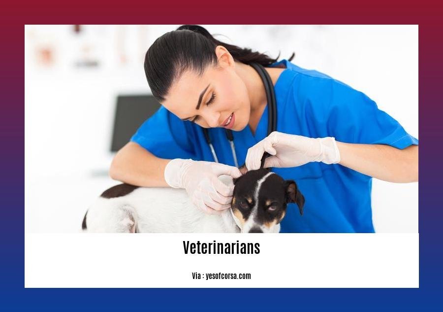 Cool facts about veterinarians