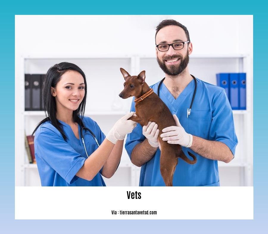 Cool facts about vets