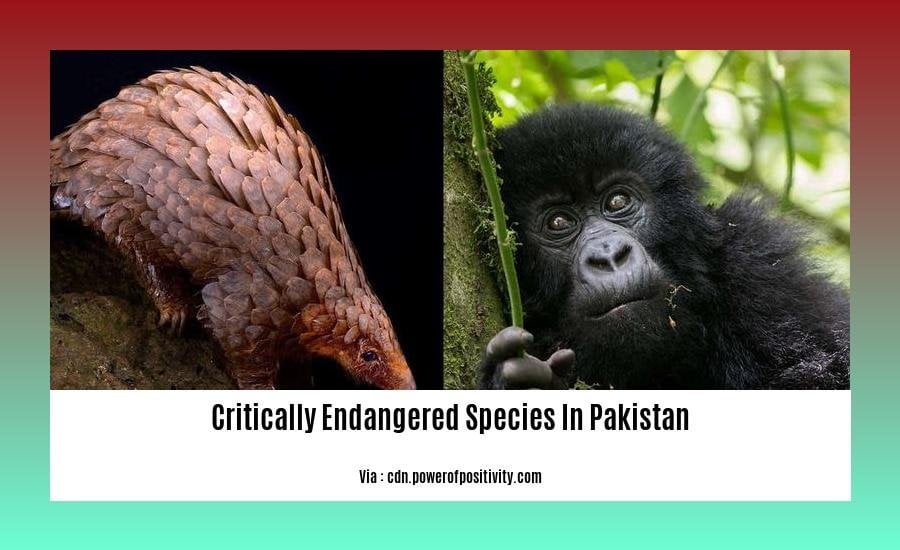 Critically endangered species in Pakistan