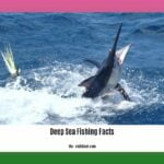 Deep-sea-fishing-facts_2