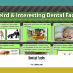 Did-you-know-dental-facts_2