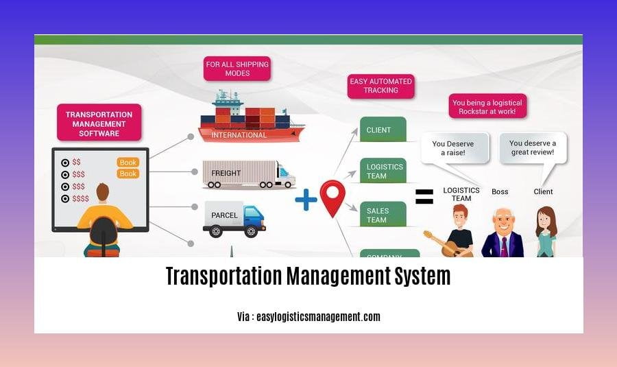 Disadvantages of transportation management system