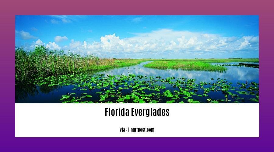 Facts about Florida Everglades