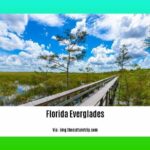 Facts-about-Florida-Everglades_2