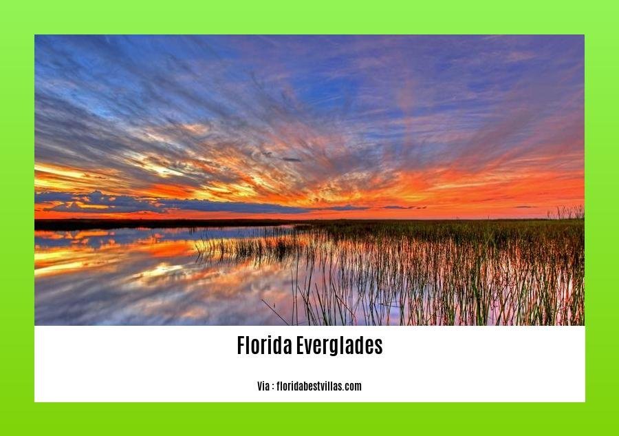 Facts about Florida Everglades