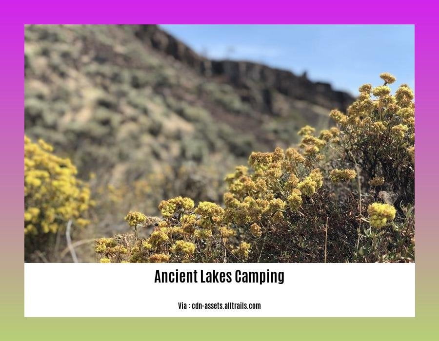ancient lakes camping