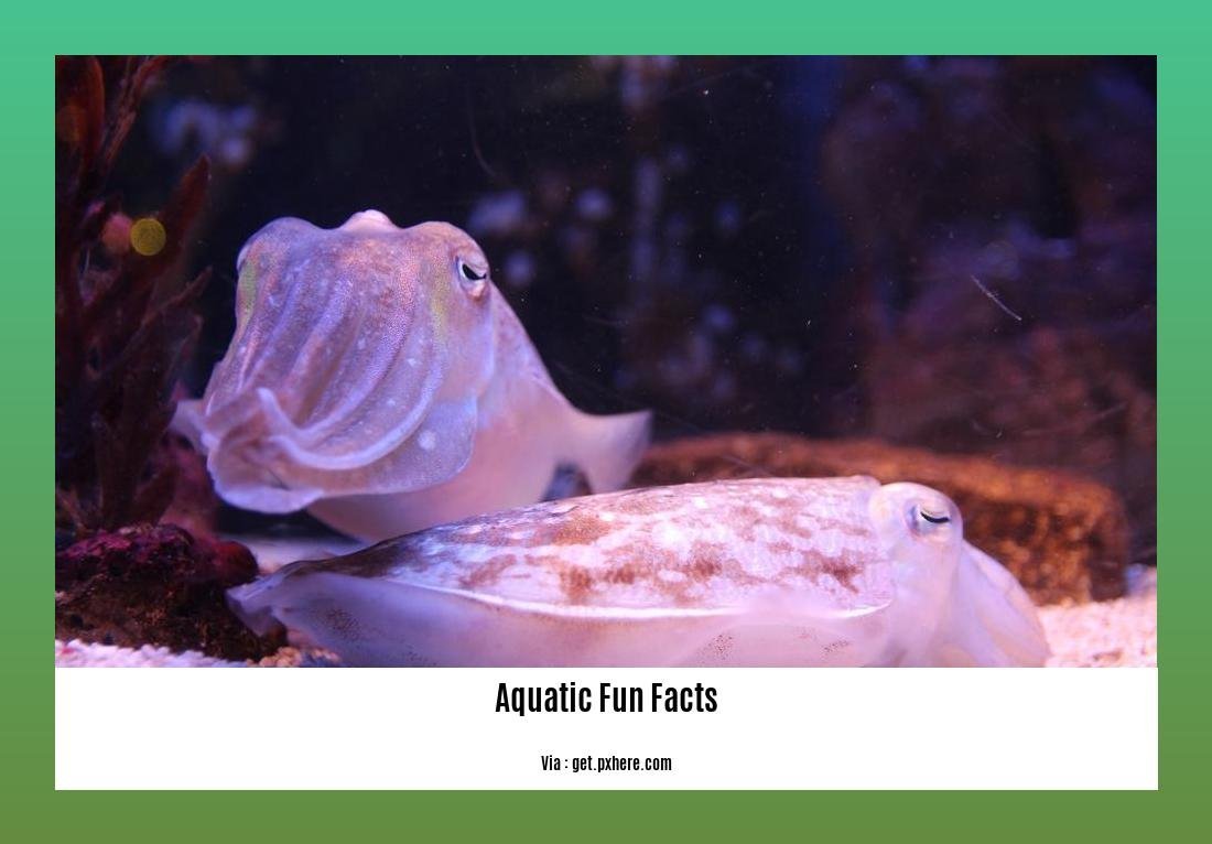 aquatic fun facts