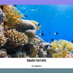 aquatic-fun-facts_2