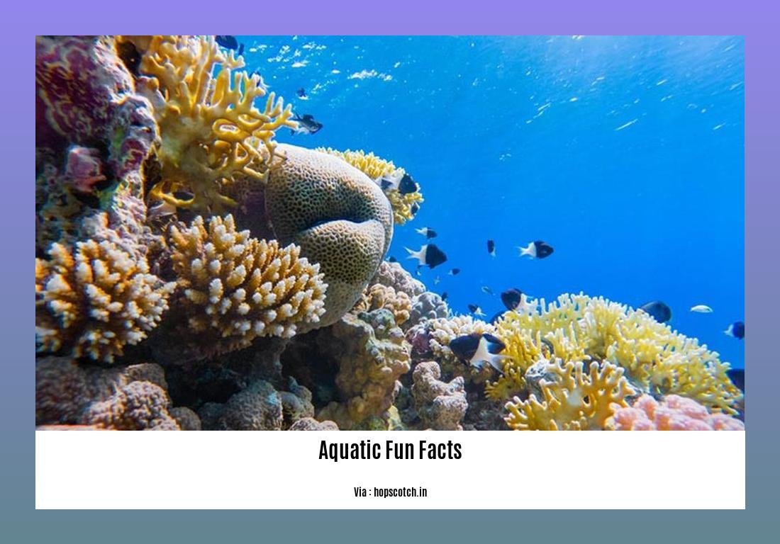 aquatic fun facts 2