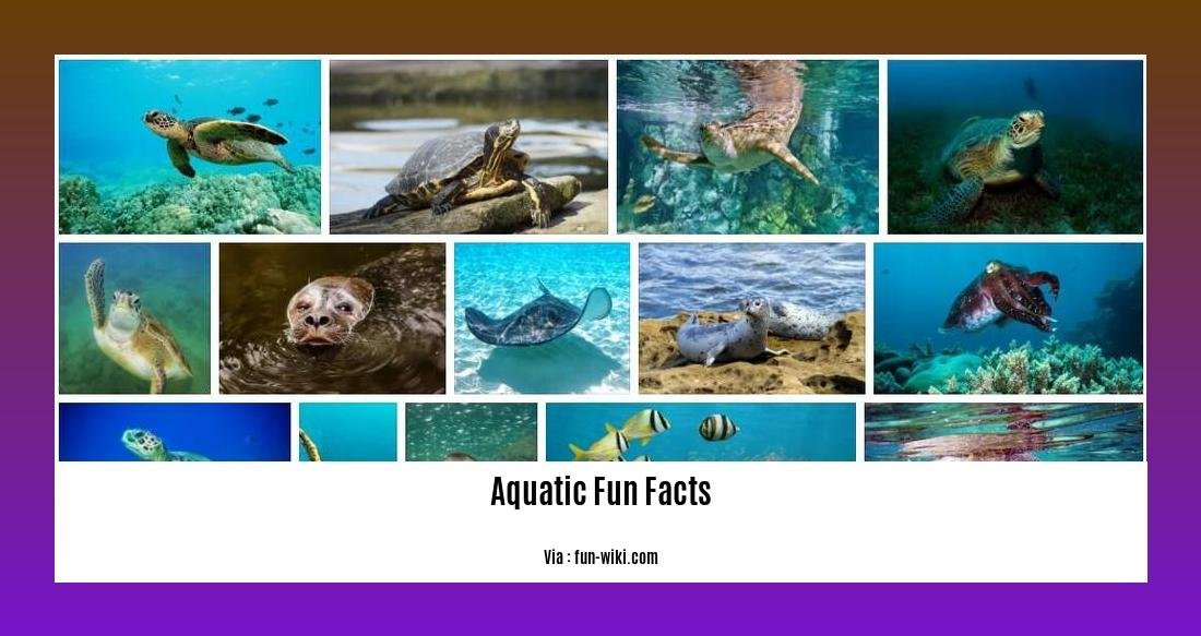 aquatic fun facts