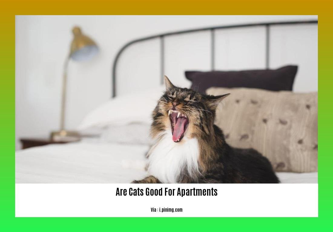 are cats good for apartments 2