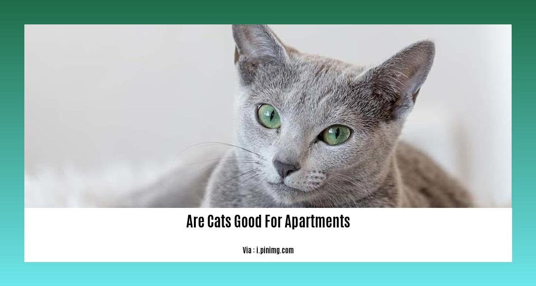 are cats good for apartments