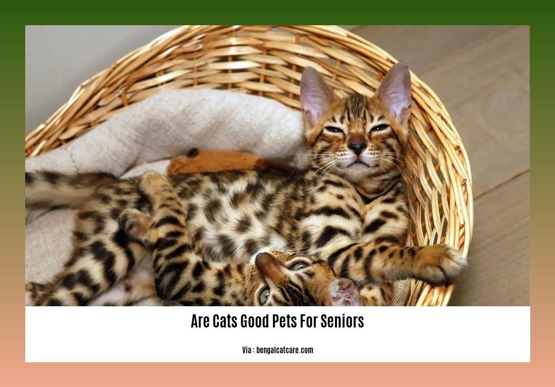 are cats good pets for seniors