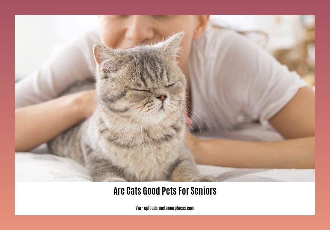 are cats good pets for seniors