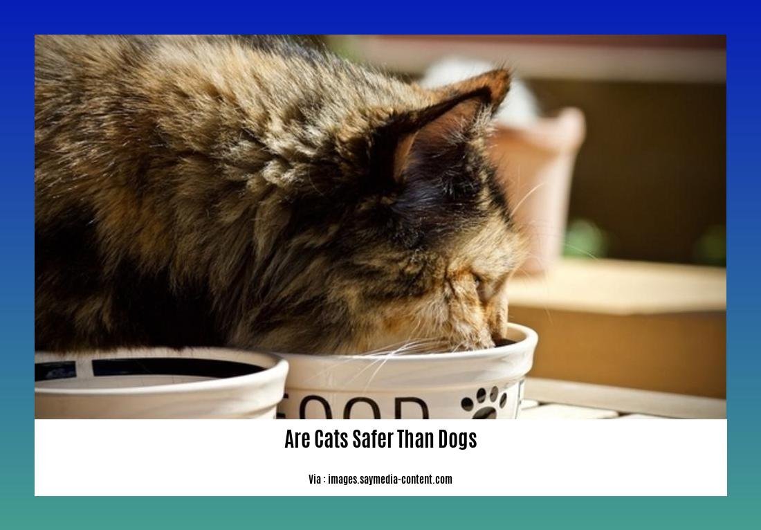 are cats safer than dogs