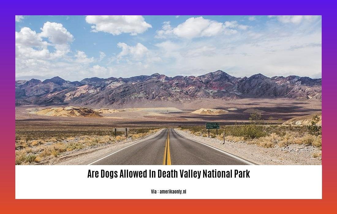 are dogs allowed in death valley national park