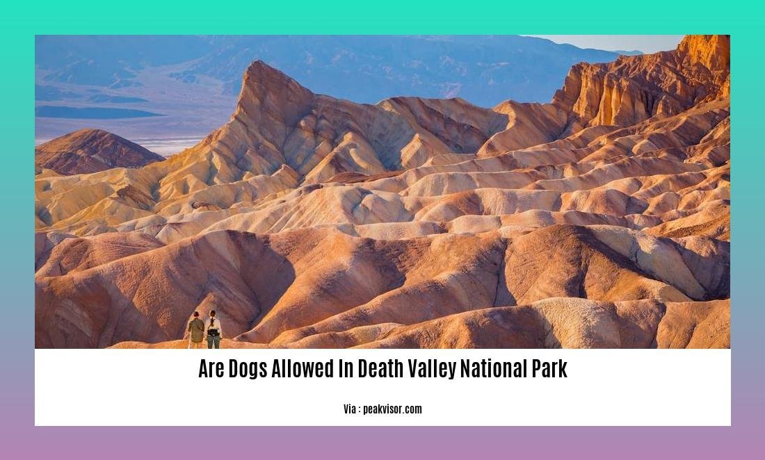 are dogs allowed in death valley national park 2