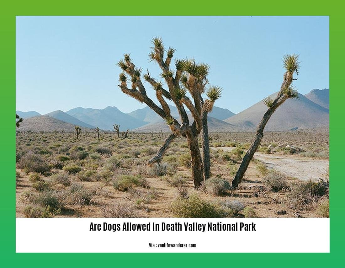 are dogs allowed in death valley national park