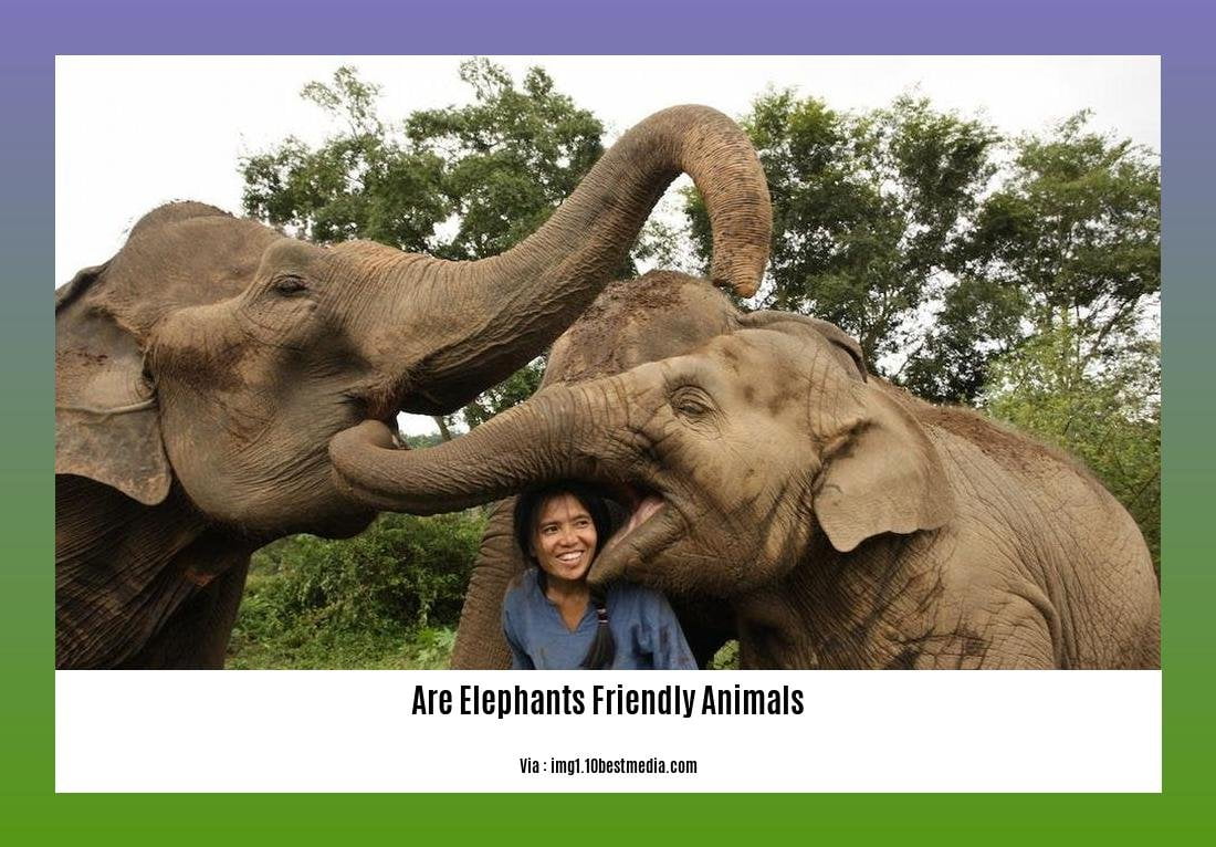 are elephants friendly animals