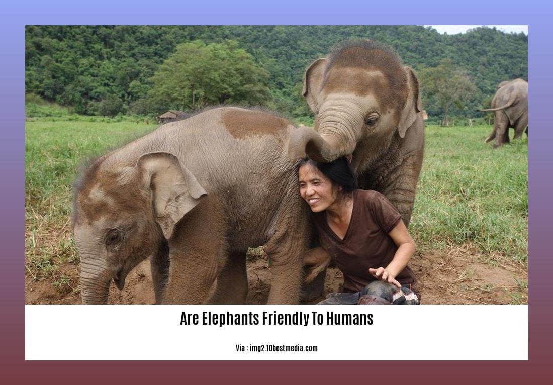 are elephants friendly to humans