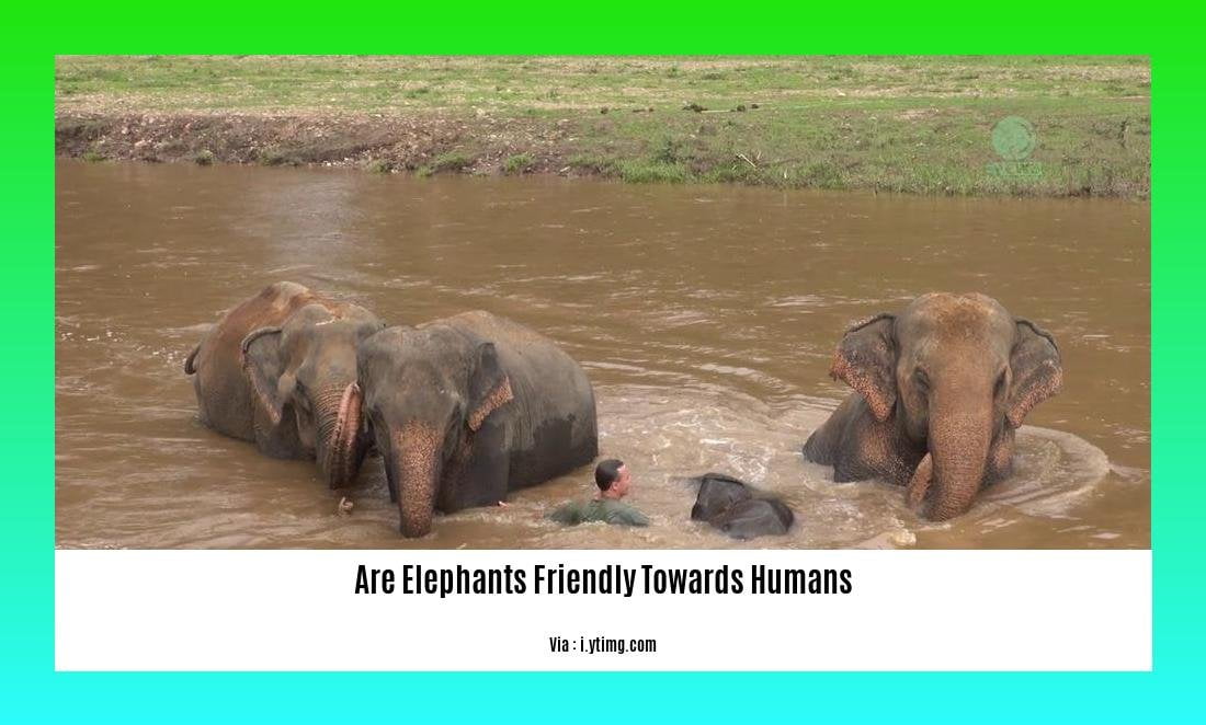 are elephants friendly towards humans