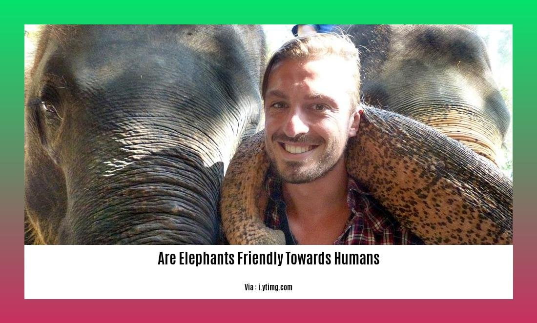 are elephants friendly towards humans 2