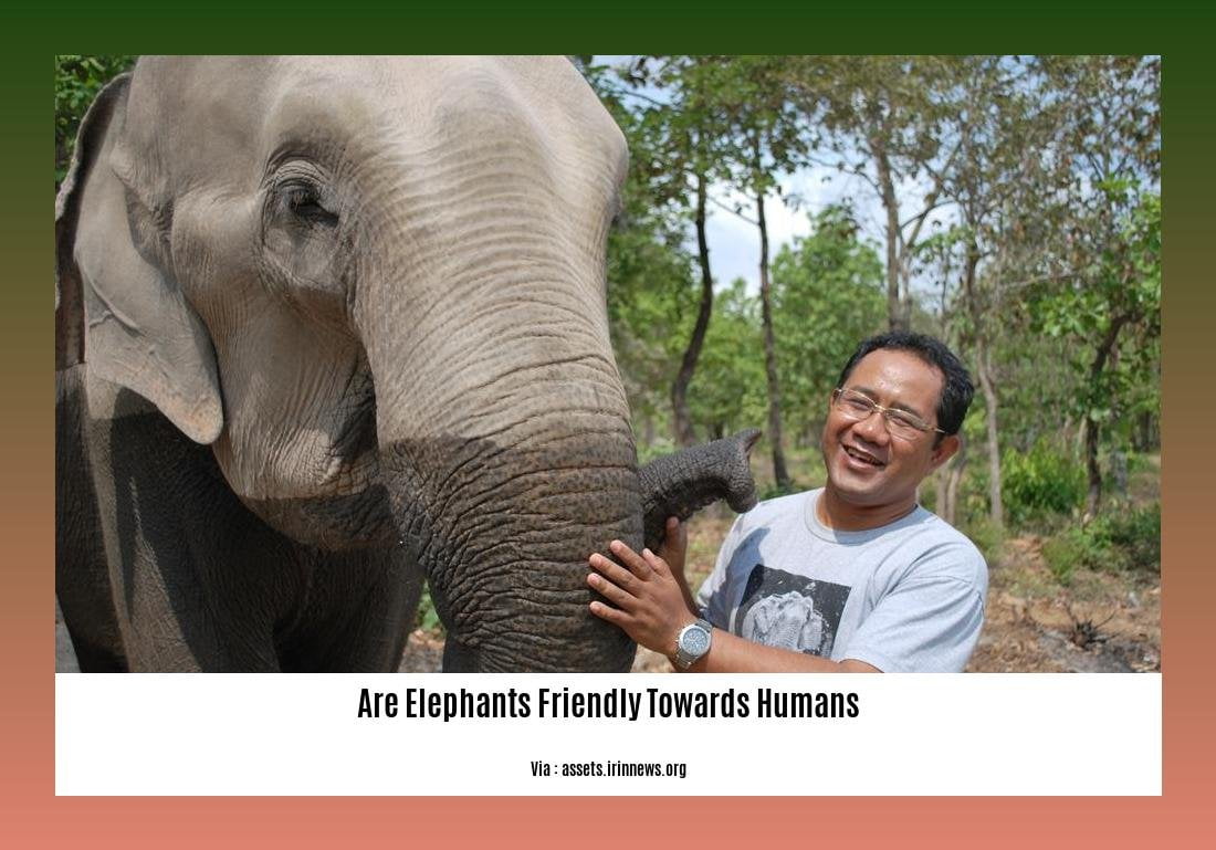 are elephants friendly towards humans