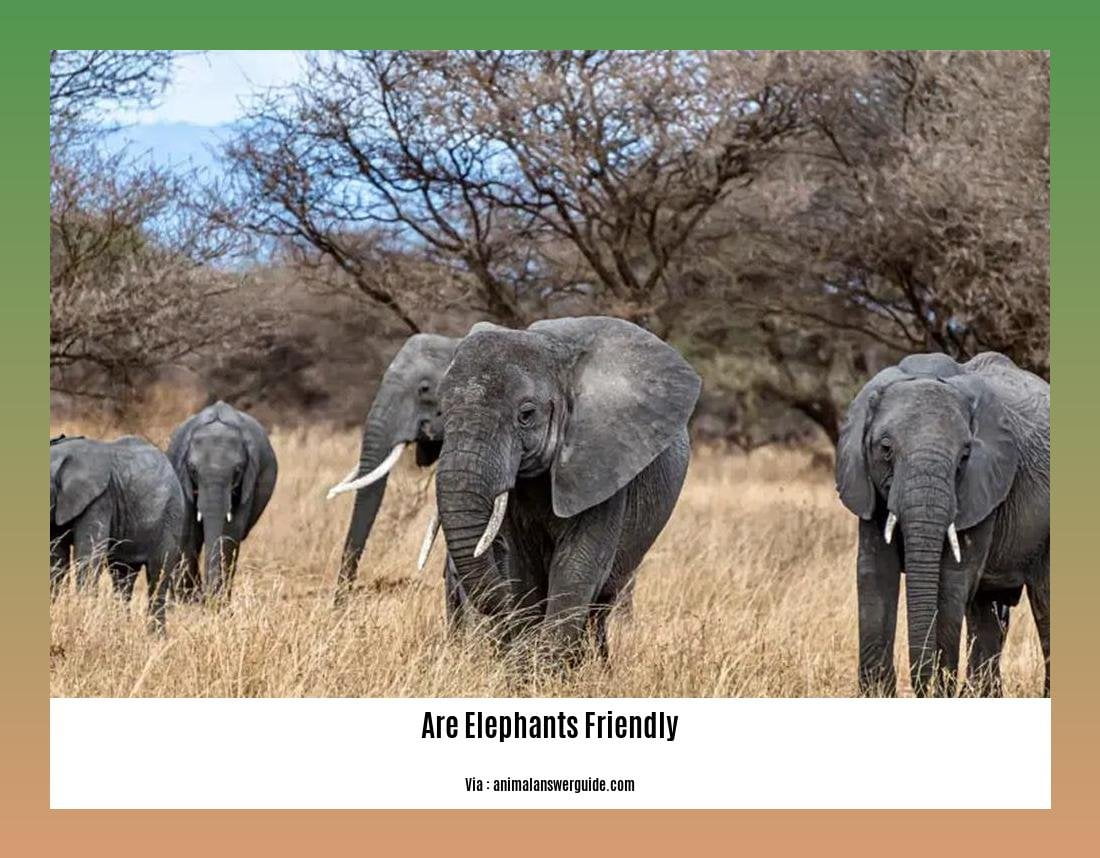 are elephants friendly 2